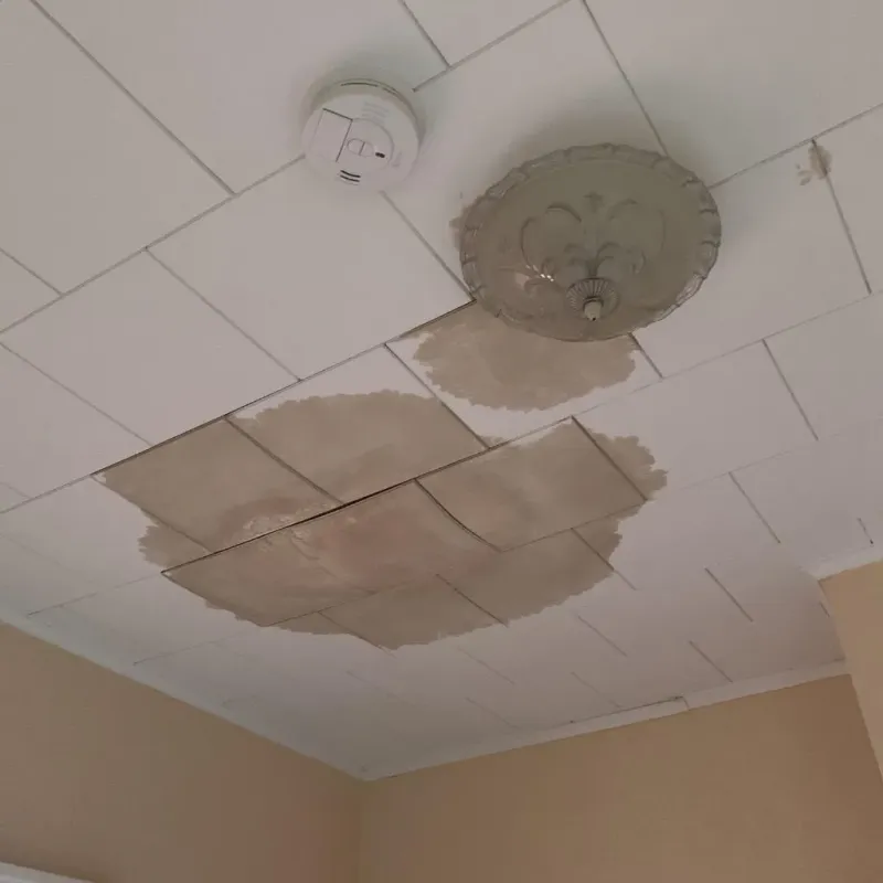 Ceiling Water Damage Repair in Rutland, VT