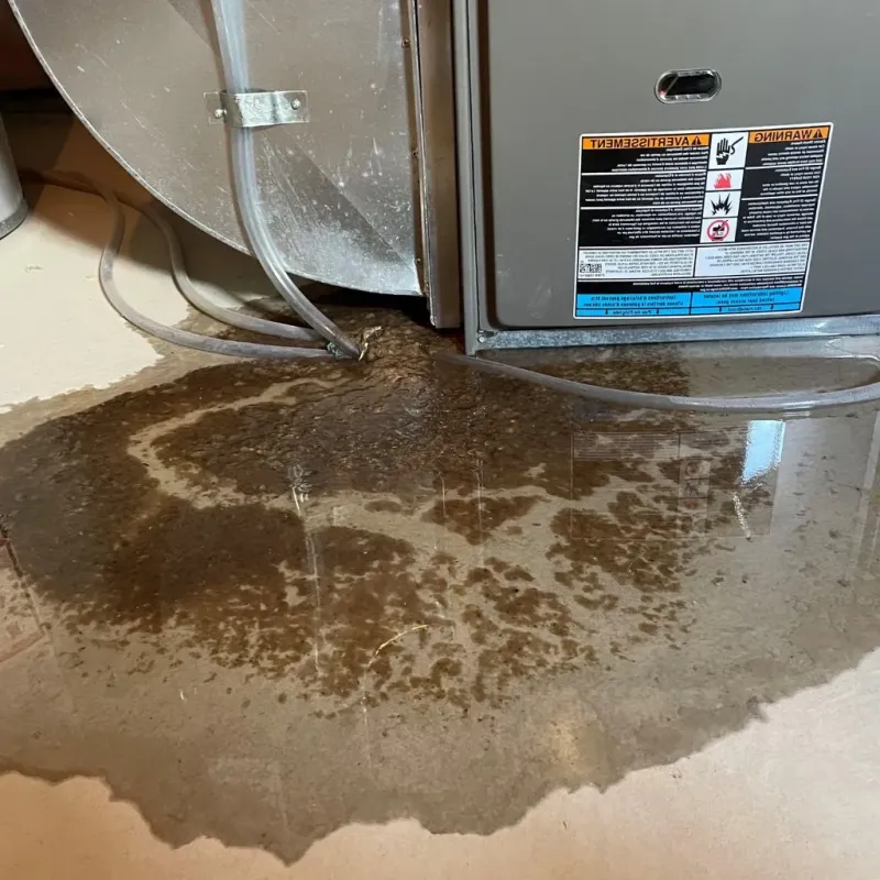 Pipe Burst and Leak Restoration in Rutland, VT