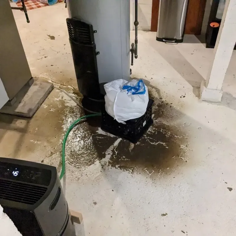 Sewage Backup Cleanup Service in Rutland, VT